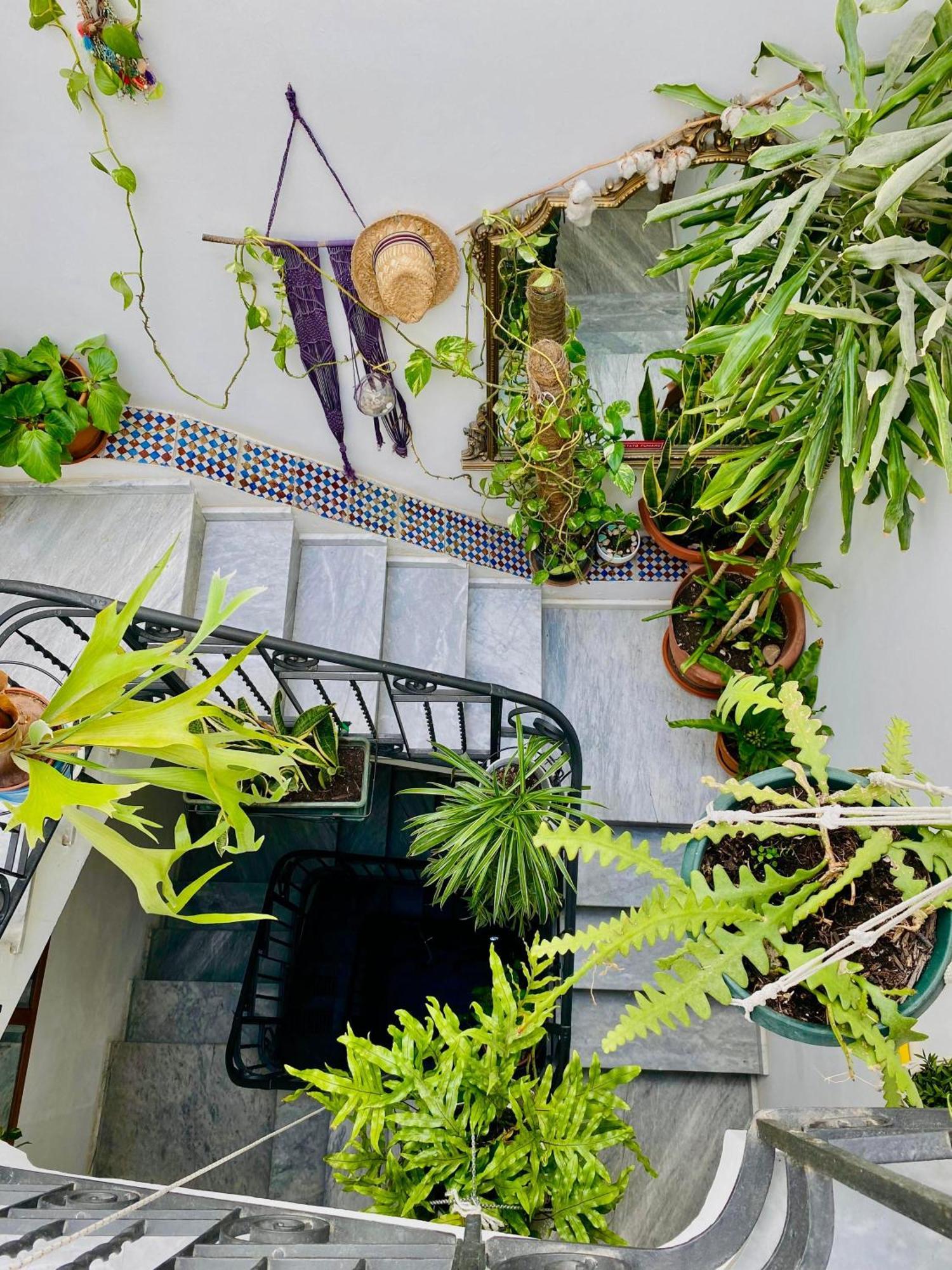 Alvorada Rooms — Photos 2